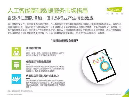 中國(guó)人工智能基礎(chǔ)數(shù)據(jù)服務(wù)行業(yè)報(bào)告 引領(lǐng)創(chuàng)新的人工智能基礎(chǔ)軟件開發(fā)