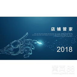 從技術轉讓到個性化定制 如何成功加盟并運營店淘軟件